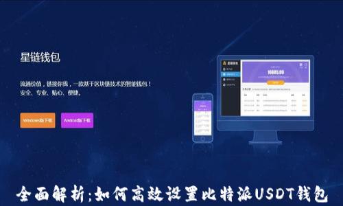 
全面解析：如何高效设置比特派USDT钱包