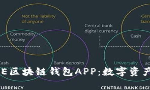 全面解析ONE区块链钱包APP：数字资产管理的未来