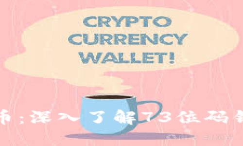 保护你的比特币：深入了解73位码钱包及其安全性