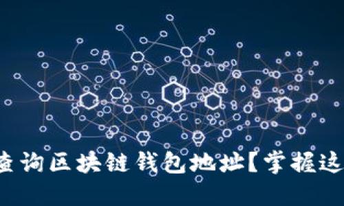 如何快速查询区块链钱包地址？掌握这几种方法！