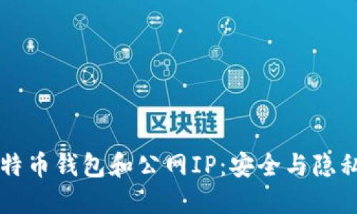 深入了解比特币钱包和公网IP：安全与隐私的双重考量