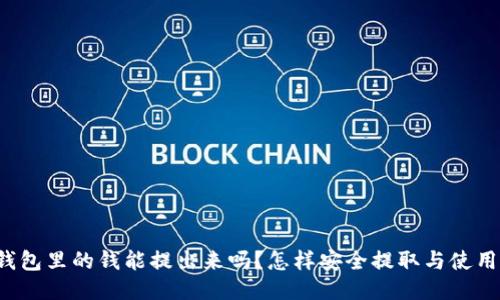 USDT钱包里的钱能提出来吗？怎样安全提取与使用USDT？