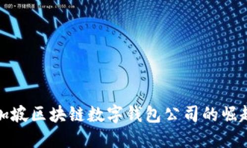 探索新加坡区块链数字钱包公司的崛起与未来