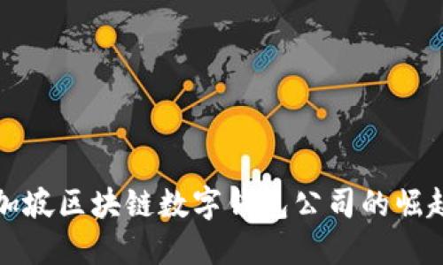 探索新加坡区块链数字钱包公司的崛起与未来