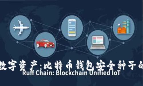 保护你的数字资产：比特币钱包安全种子的完整指南