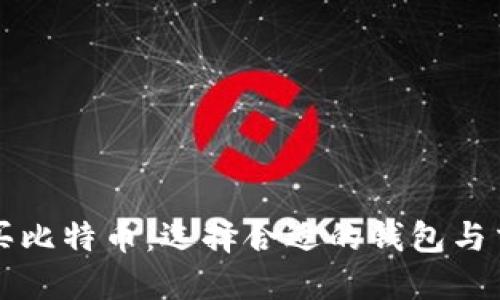 如何安全购买比特币：选择合适的钱包与交易平台指南