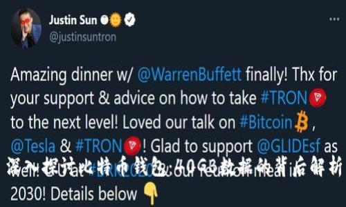 深入探讨比特币钱包：40GB数据的背后解析