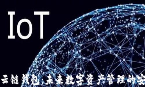 
区块链云链钱包：未来数字资产管理的安全之道