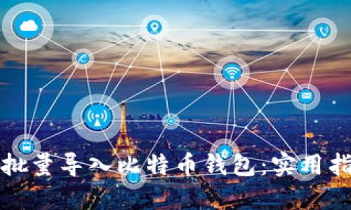 如何高效批量导入比特币钱包：实用指南与技巧