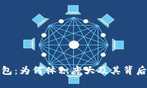 比特币官方钱包：为何体积庞大及其背后的原因与影响