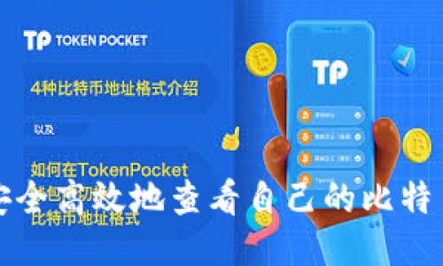 如何安全高效地查看自己的比特币钱包