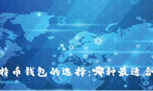 :聚焦于比特币钱包的选择：哪种最适合你的需求？