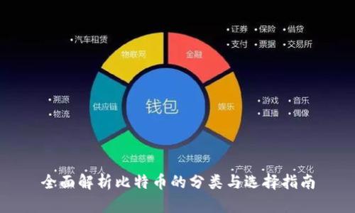 全面解析比特币的分类与选择指南